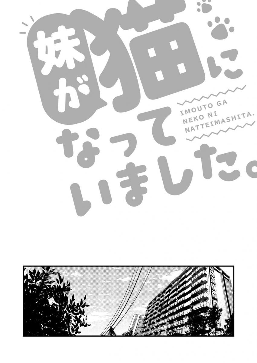 妹が猫になっていました。 : 002