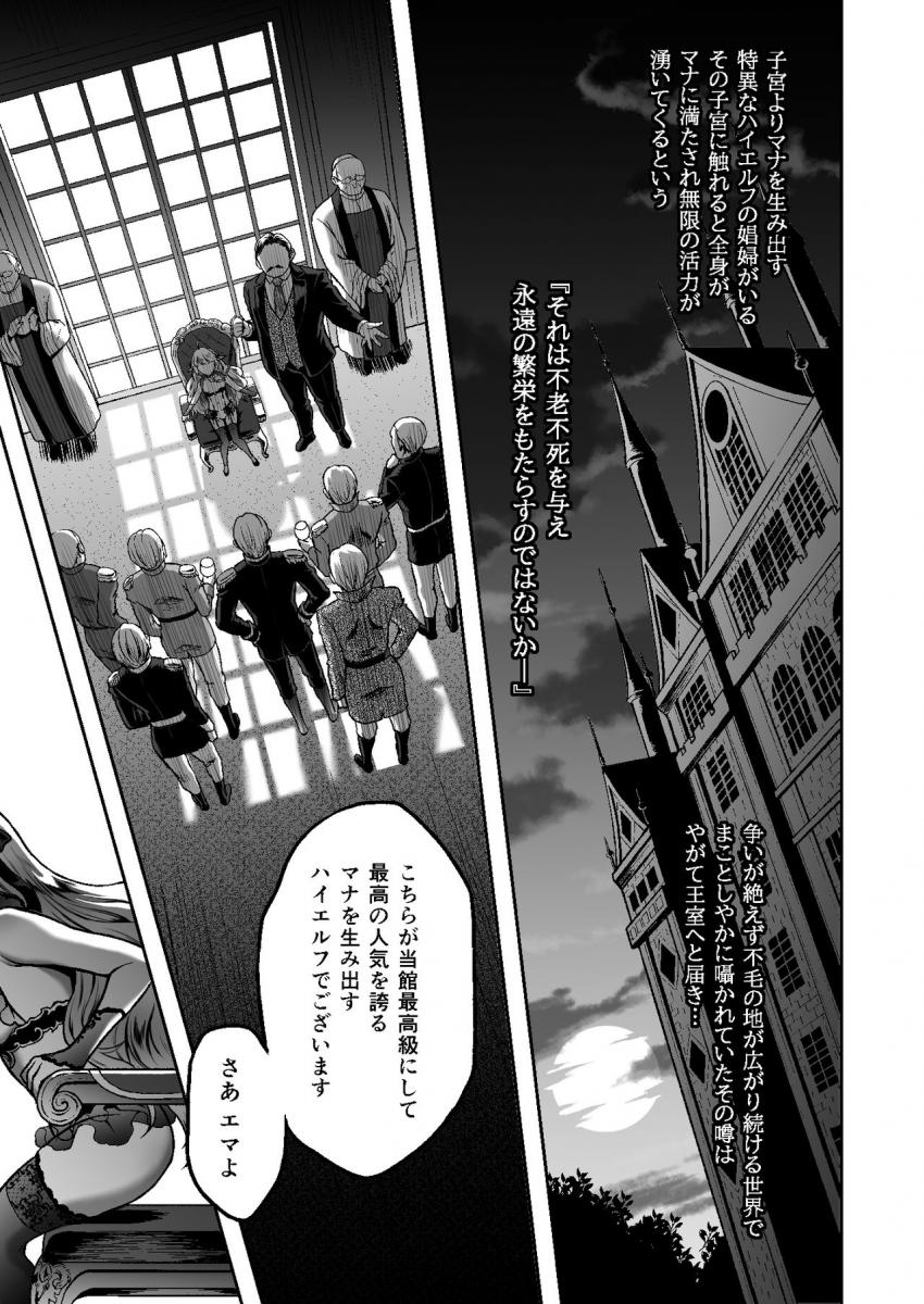 黄昏の娼エルフ６-The story of Emma’s side : 003