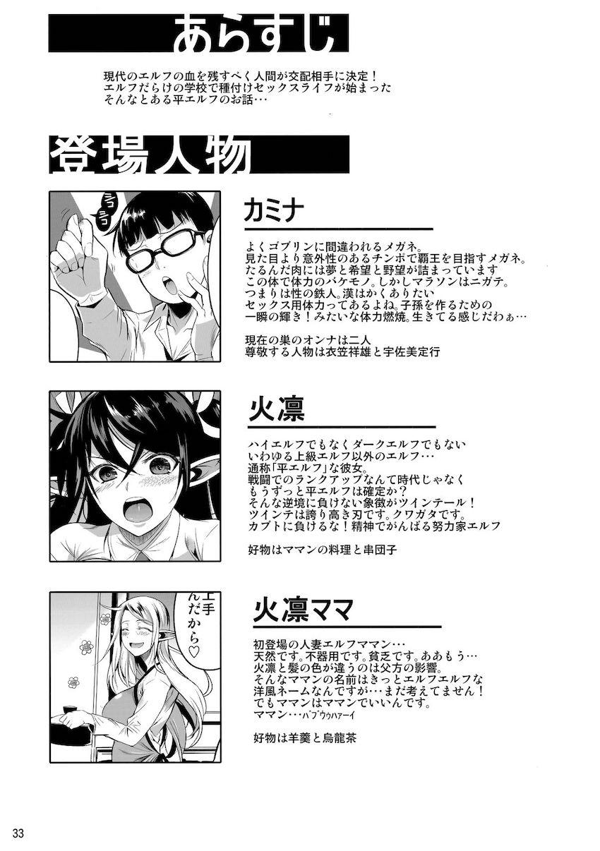 ハイエルフ×ハイスクールTWINTAIL : 033