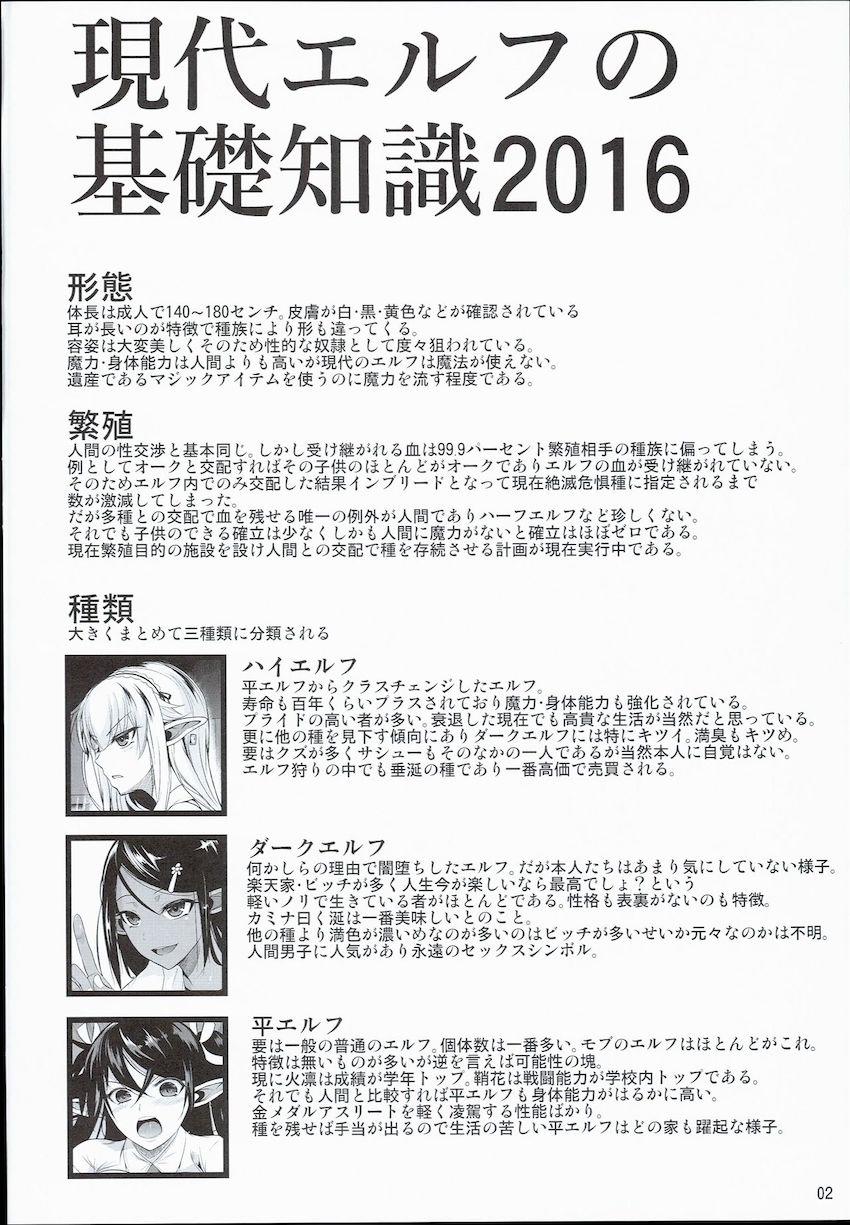 ハイエルフ×ハイスクール襲撃編前日 : 003
