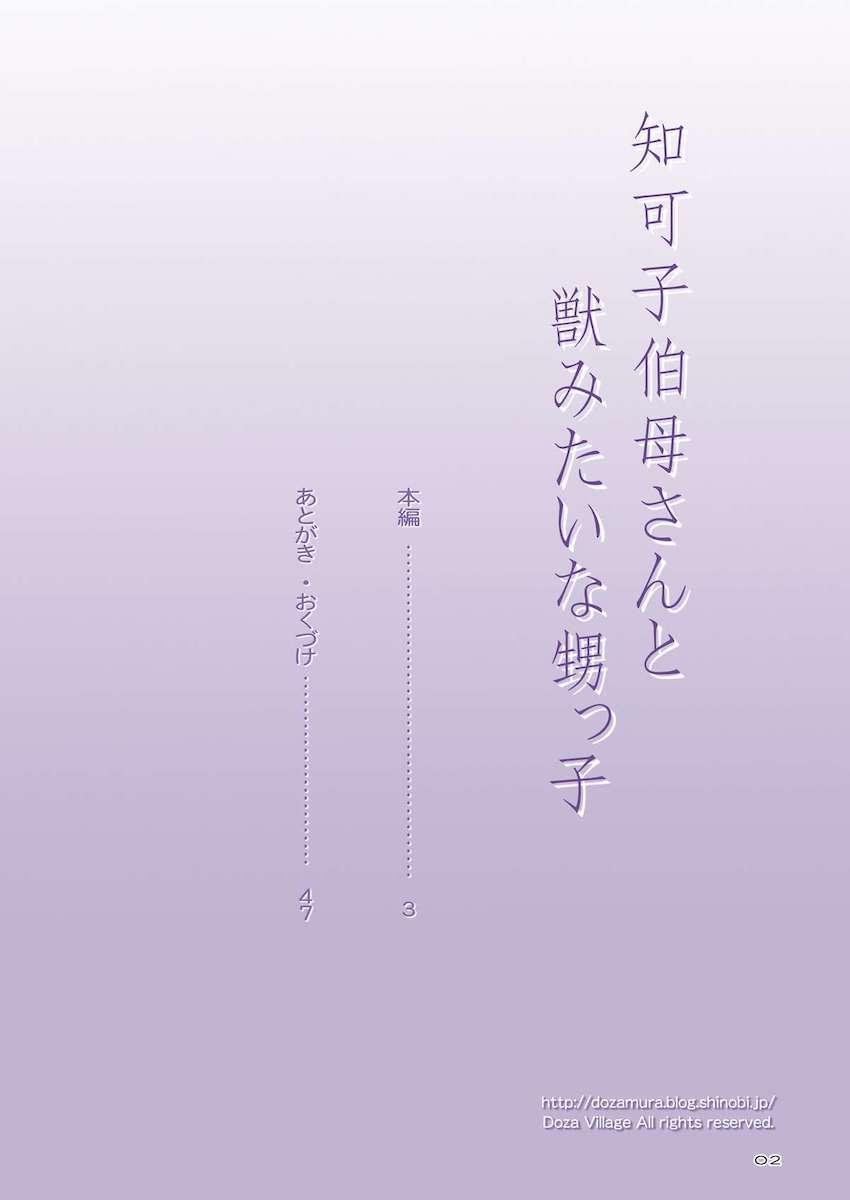 知可子伯母さんと獣みたいな甥っ子 : 002