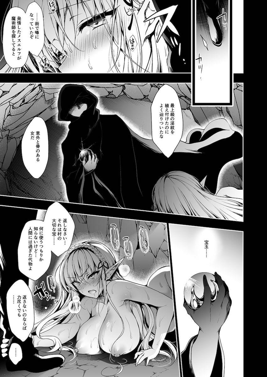 エルフに淫紋を付ける本 LEVEL:1 : 028