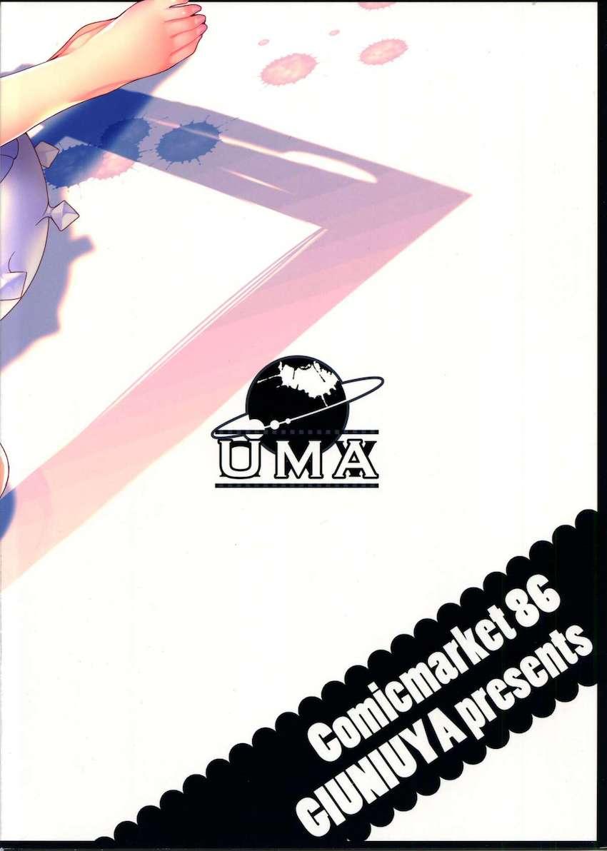 UMA report 002 : 023