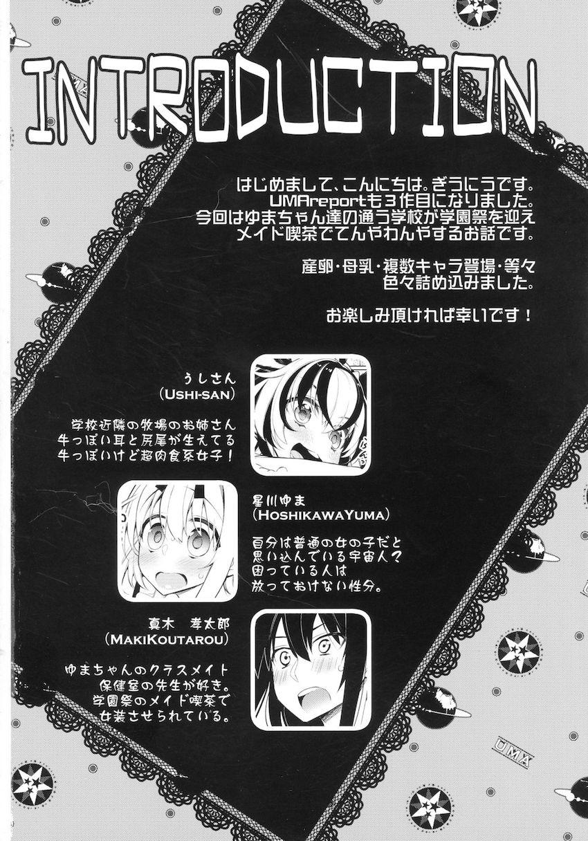 UMA report 003 : 002