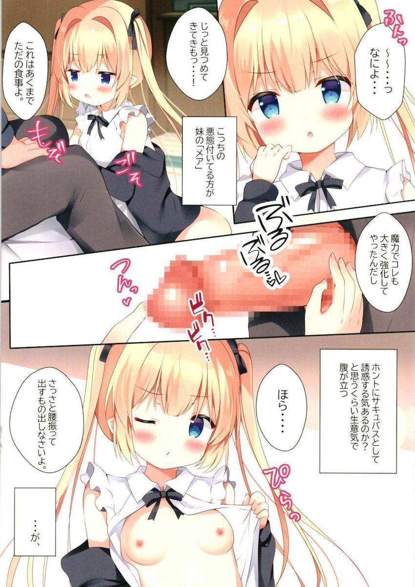 サキュバスデリバリーW : 005