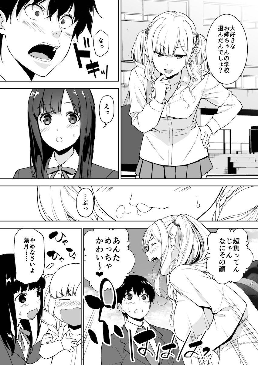 清楚な姉が好きなのにビッチとセックスしてる俺 : 005