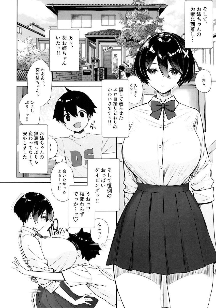 いつもノーパン・ノーブラな無感情お姉ちゃんの子宮にいっぱいHなこと(お説教)をしてボクのモノにする本 : 003