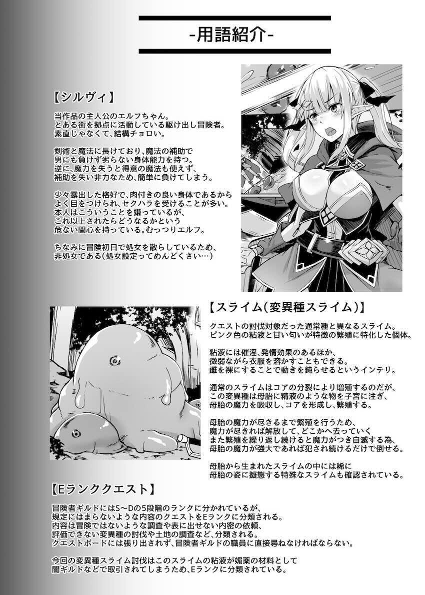 ELFIN QUEST ♯スライム敗北編 : 025