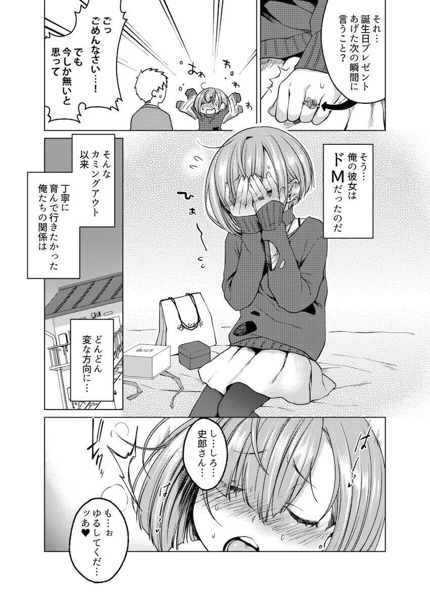 いっぱい虐めて、いっぱい愛して。 : 006