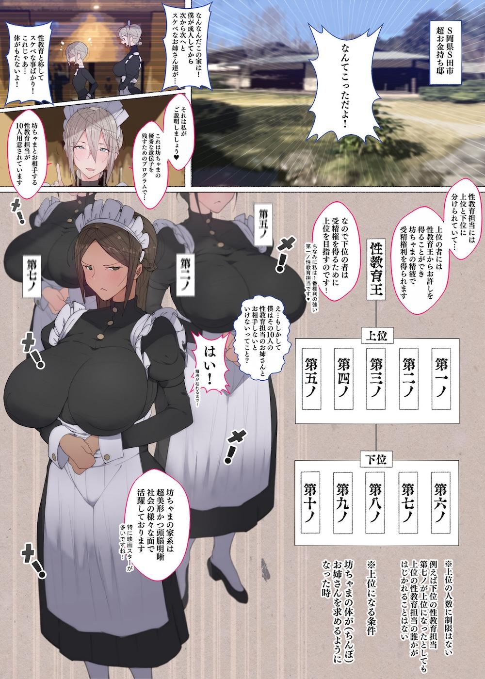 このお屋敷の坊ちゃまは…男に飢えたメイド達に搾られている!! 働くお姉さん達 メイドのお姉さん達 : 005