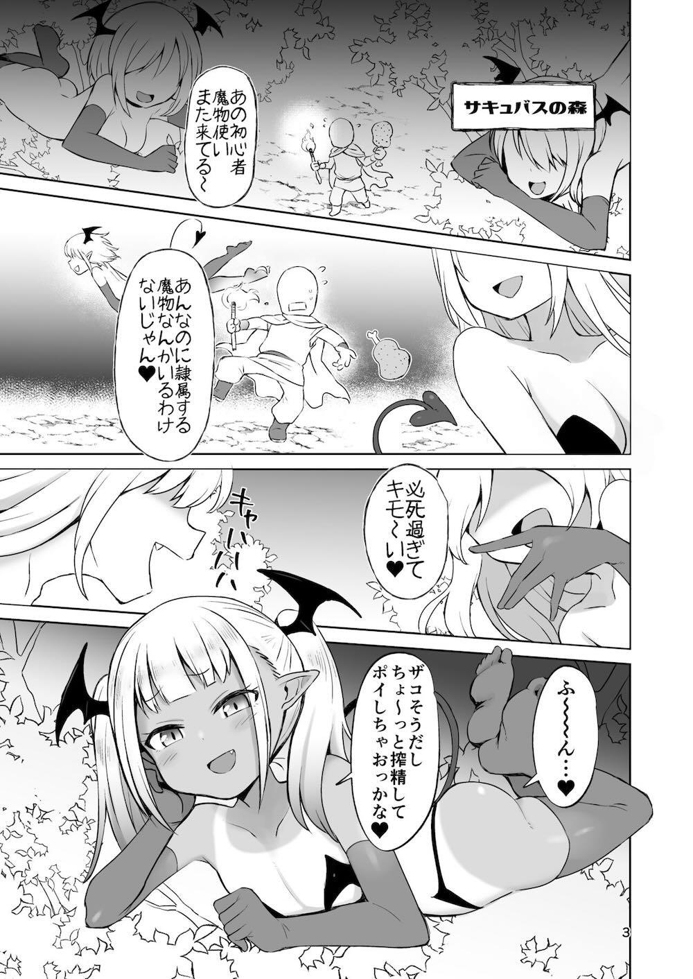 MSGKサキュバスがなかまにしてほしそうにこちらをみている : 031