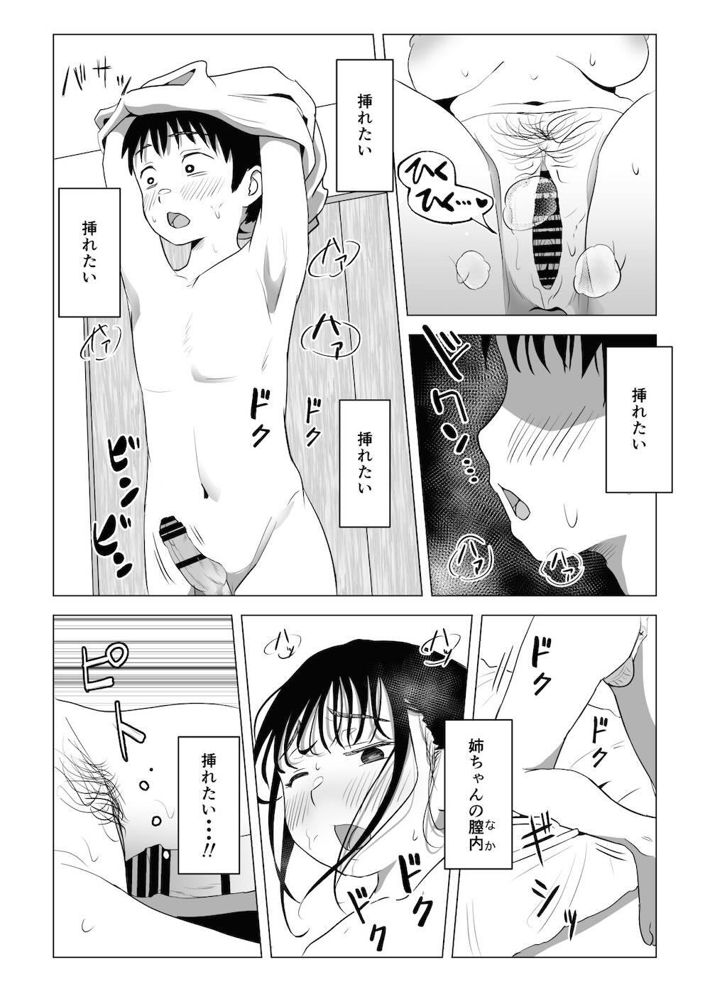 あたりまえせっくす 〜姉と弟の日常〜 : 067